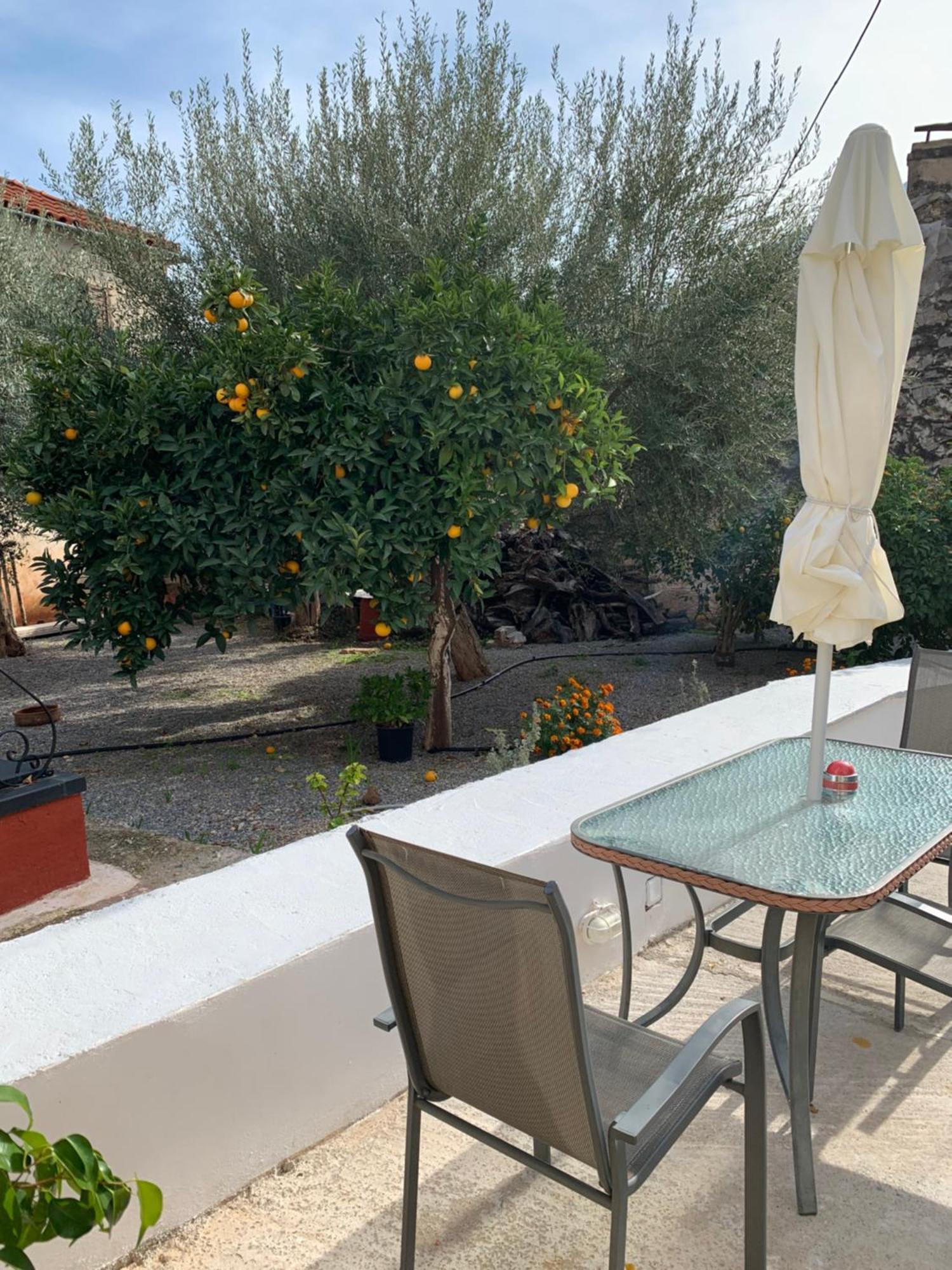 Zacharos Elegant Studio Λεωνίδιο Εξωτερικό φωτογραφία